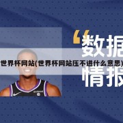 世界杯网站(世界杯网站压不进什么意思)