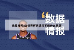 世界杯网站(世界杯网站压不进什么意思)