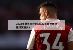 2022年世界杯分组(2022年世界杯分组情况图片)