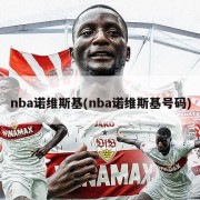 nba诺维斯基(nba诺维斯基号码)