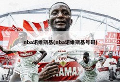 nba诺维斯基(nba诺维斯基号码)