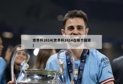 世界杯2014(世界杯2014在哪个国家)