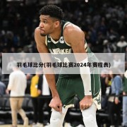 羽毛球比分(羽毛球比赛2024年赛程表)