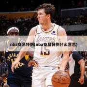 nba交易特例(nba交易特例什么意思)