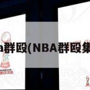 nba群殴(NBA群殴集锦)