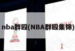 nba群殴(NBA群殴集锦)